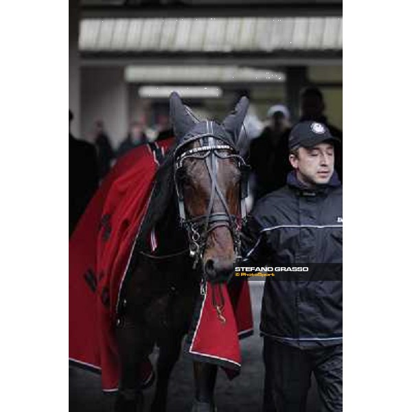 Yarrah Boko returns back home after winning the Prix du Luxembourg - Gr. III Paris - Vincennes, 28th january 2012 ph.Stefano Grasso