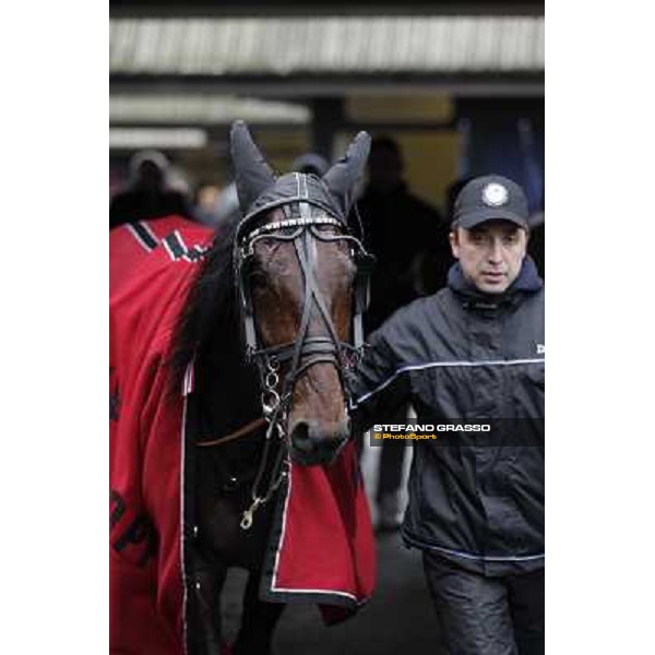Yarrah Boko returns back home after winning the Prix du Luxembourg - Gr. III Paris - Vincennes, 28th january 2012 ph.Stefano Grasso