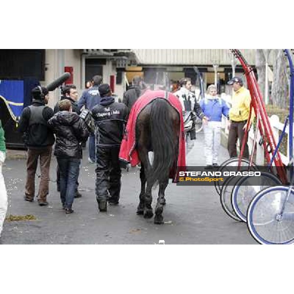 Yarrah Boko returns back home after winning the Prix du Luxembourg - Gr. III Paris - Vincennes, 28th january 2012 ph.Stefano Grasso