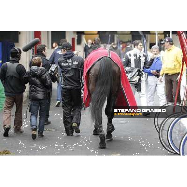 Yarrah Boko returns back home after winning the Prix du Luxembourg - Gr. III Paris - Vincennes, 28th january 2012 ph.Stefano Grasso