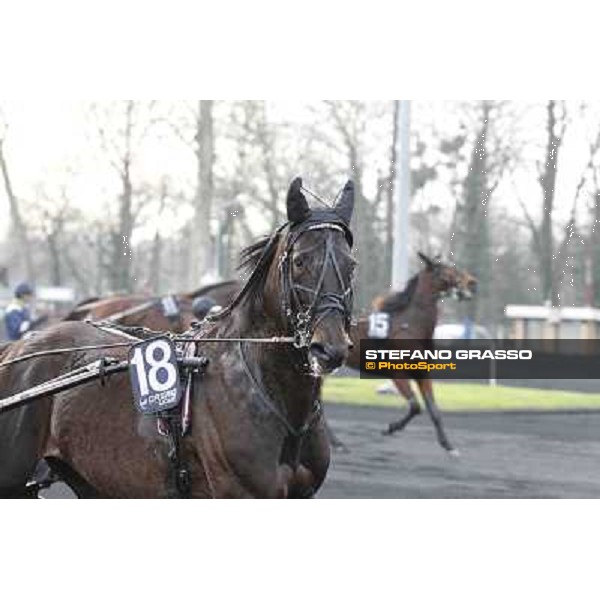 91° Prix d\'Amérique Marionnaud - Ready Cash Paris - Vincennes racecourse , 29th january 2012 ph.Stefano Grasso