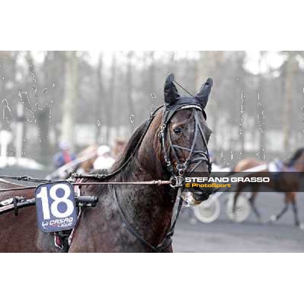 91° Prix d\'Amérique Marionnaud - Ready Cash Paris - Vincennes racecourse , 29th january 2012 ph.Stefano Grasso