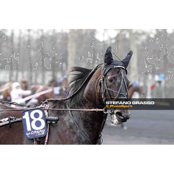 91° Prix d\'Amérique Marionnaud - Ready Cash Paris - Vincennes racecourse , 29th january 2012 ph.Stefano Grasso