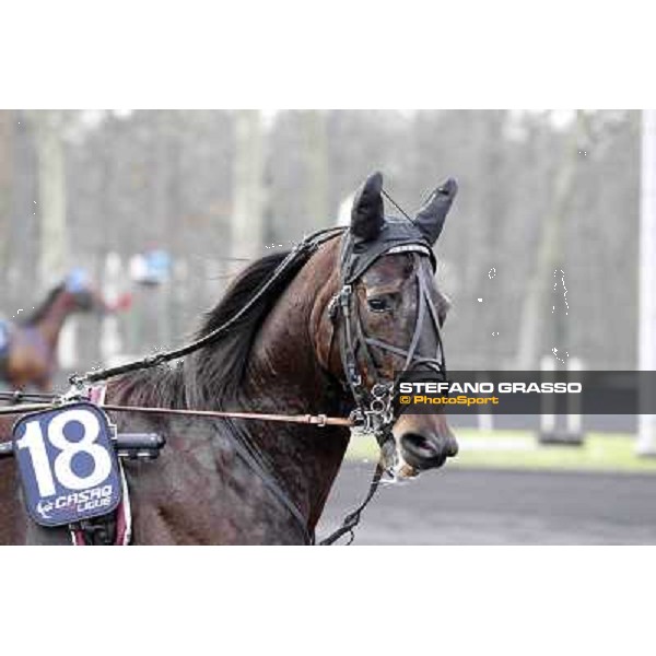 91° Prix d\'Amérique Marionnaud - Ready Cash Paris - Vincennes racecourse , 29th january 2012 ph.Stefano Grasso