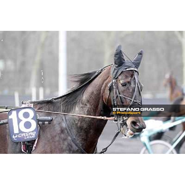 91° Prix d\'Amérique Marionnaud - Ready Cash Paris - Vincennes racecourse , 29th january 2012 ph.Stefano Grasso
