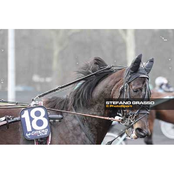 91° Prix d\'Amérique Marionnaud - Ready Cash Paris - Vincennes racecourse , 29th january 2012 ph.Stefano Grasso