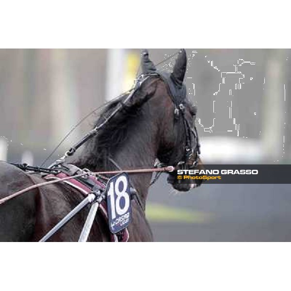 91° Prix d\'Amérique Marionnaud - Ready Cash Paris - Vincennes racecourse , 29th january 2012 ph.Stefano Grasso