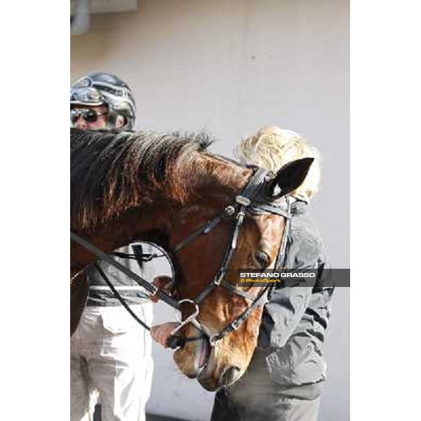 91° Prix d\'Amérique Marionnaud - Lisa America Paris - Vincennes racecourse , 29th january 2012 ph.Stefano Grasso