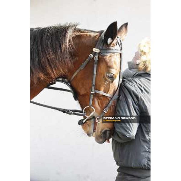 91° Prix d\'Amérique Marionnaud - Lisa America Paris - Vincennes racecourse , 29th january 2012 ph.Stefano Grasso