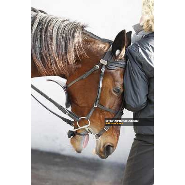 91° Prix d\'Amérique Marionnaud - Lisa America Paris - Vincennes racecourse , 29th january 2012 ph.Stefano Grasso
