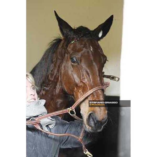 91° Prix d\'Amérique Marionnaud - Lisa America Paris - Vincennes racecourse , 29th january 2012 ph.Stefano Grasso