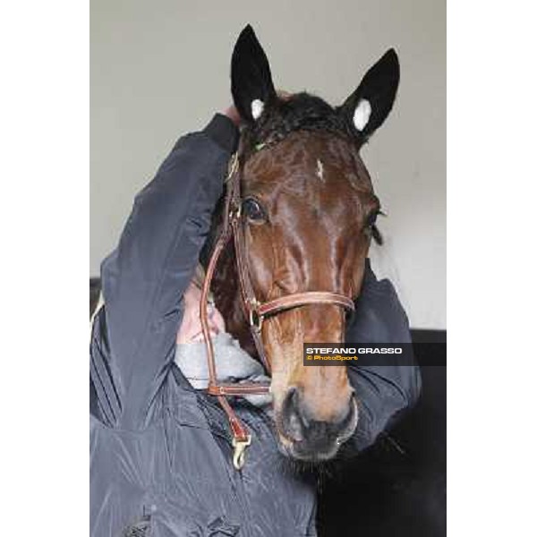 91° Prix d\'Amérique Marionnaud - Lisa America Paris - Vincennes racecourse , 29th january 2012 ph.Stefano Grasso