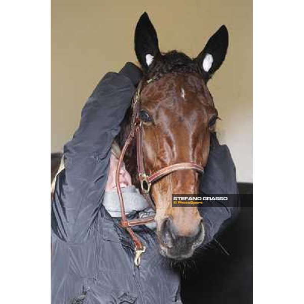 91° Prix d\'Amérique Marionnaud - Lisa America Paris - Vincennes racecourse , 29th january 2012 ph.Stefano Grasso