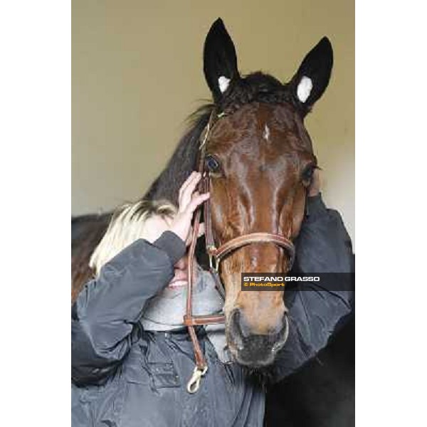 91° Prix d\'Amérique Marionnaud - Lisa America Paris - Vincennes racecourse , 29th january 2012 ph.Stefano Grasso