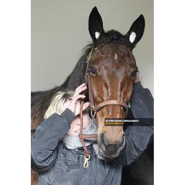 91° Prix d\'Amérique Marionnaud - Lisa America Paris - Vincennes racecourse , 29th january 2012 ph.Stefano Grasso