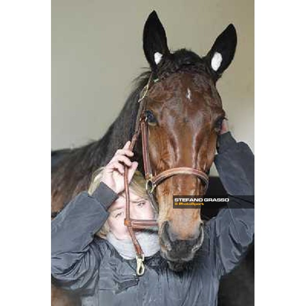 91° Prix d\'Amérique Marionnaud - Lisa America Paris - Vincennes racecourse , 29th january 2012 ph.Stefano Grasso
