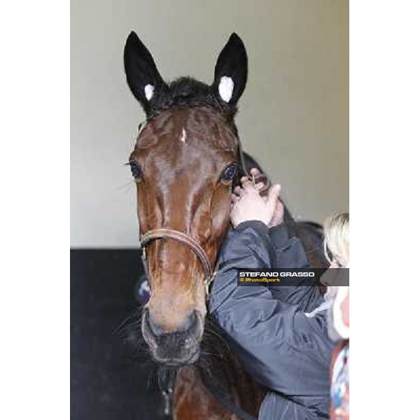 91° Prix d\'Amérique Marionnaud - Lisa America Paris - Vincennes racecourse , 29th january 2012 ph.Stefano Grasso