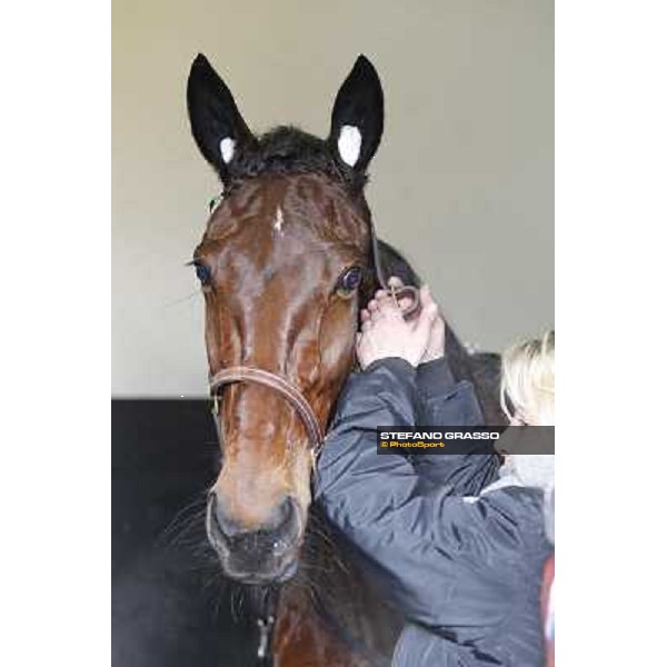 91° Prix d\'Amérique Marionnaud - Lisa America Paris - Vincennes racecourse , 29th january 2012 ph.Stefano Grasso