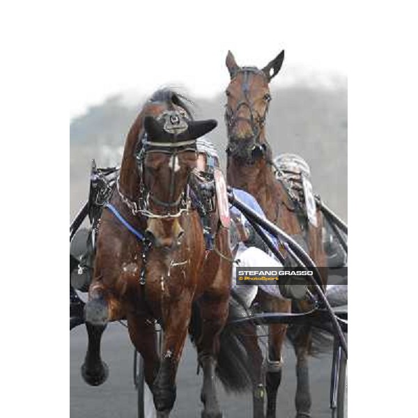 Mineiro AS and Lisa America Paris - Vincennes racecourse , 29th january 2012 ph.Stefano Grasso