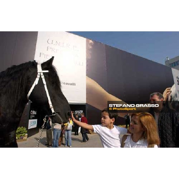 106.a Fiera Cavalli cavallo di razza frisone di fronte allo stand dell\' Unire Verona, 5 novembre 2004 ph. Stefano Grasso