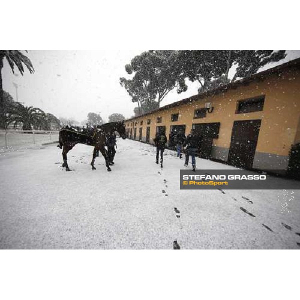 Rome Capannelle racecourse - Races cancelled ! Rome, 11th febr. 2012 ph.Stefano Grasso
