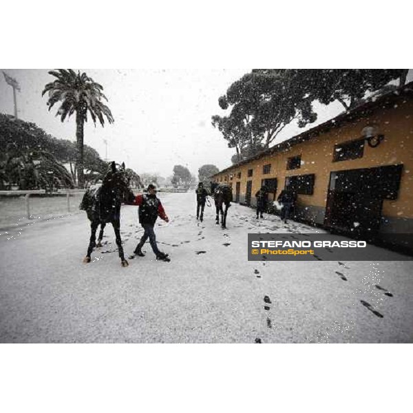 Rome Capannelle racecourse - Races cancelled ! Rome, 11th febr. 2012 ph.Stefano Grasso