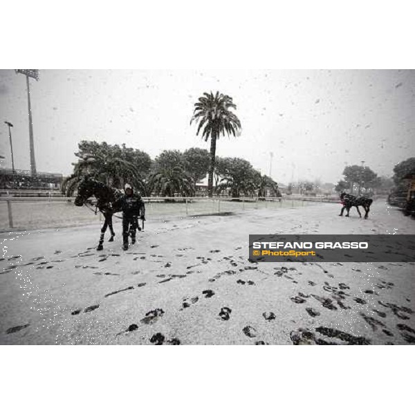 Rome Capannelle racecourse - Races cancelled ! Rome, 11th febr. 2012 ph.Stefano Grasso