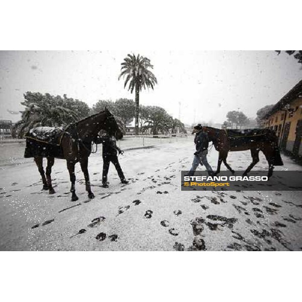 Rome Capannelle racecourse - Races cancelled ! Rome, 11th febr. 2012 ph.Stefano Grasso