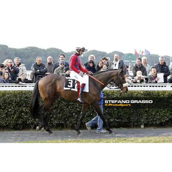 Fabio Branca on Jaalon Pisa - San Rossore racecourse, 4th march 2012 ph.Stefano Grasso