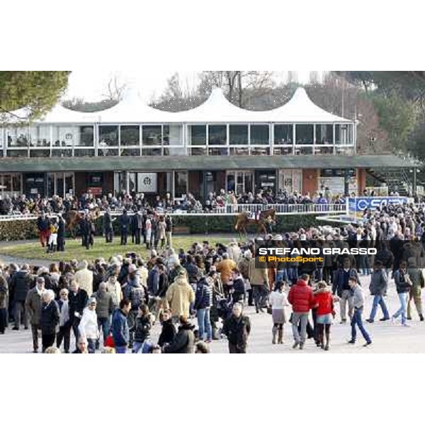 racegoers and the paddock Pisa - San Rossore racecourse, 4th march 2012 ph.Stefano Grasso