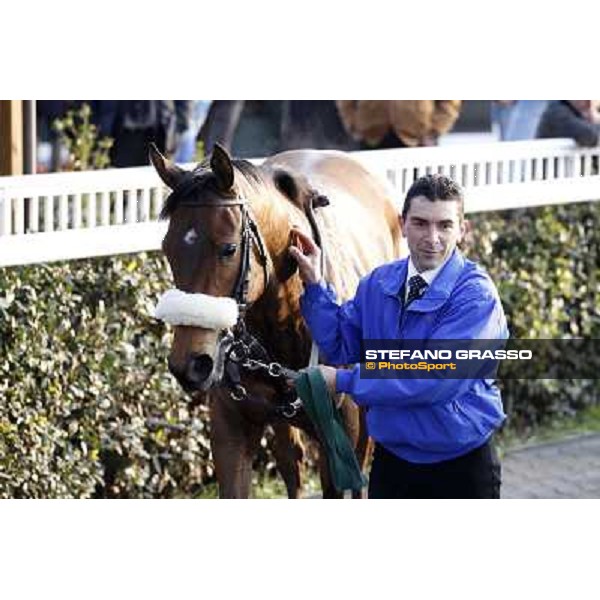 Cash Finance after winning the Premio Andreina Pisa - San Rossore racecourse, 4th march 2012 ph.Stefano Grasso