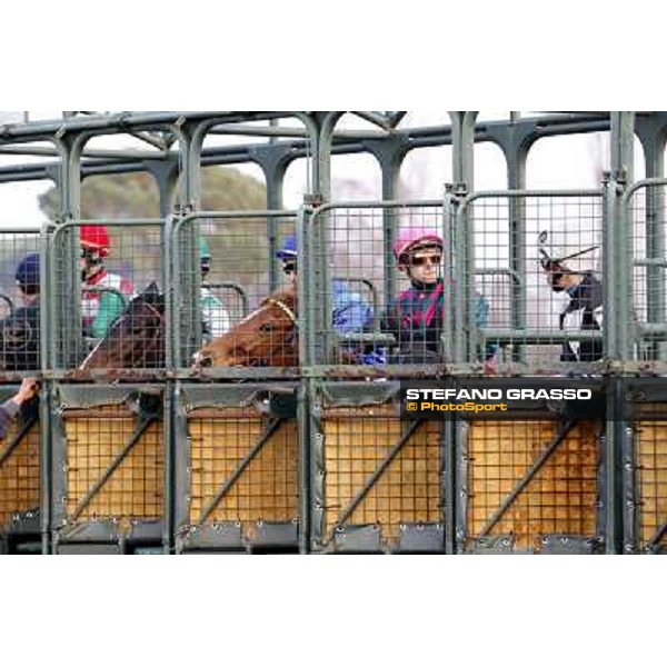 The start of Premio Panathlon Club Valdarno Pisa - San Rossore racecourse, 4th march 2012 ph.Stefano Grasso