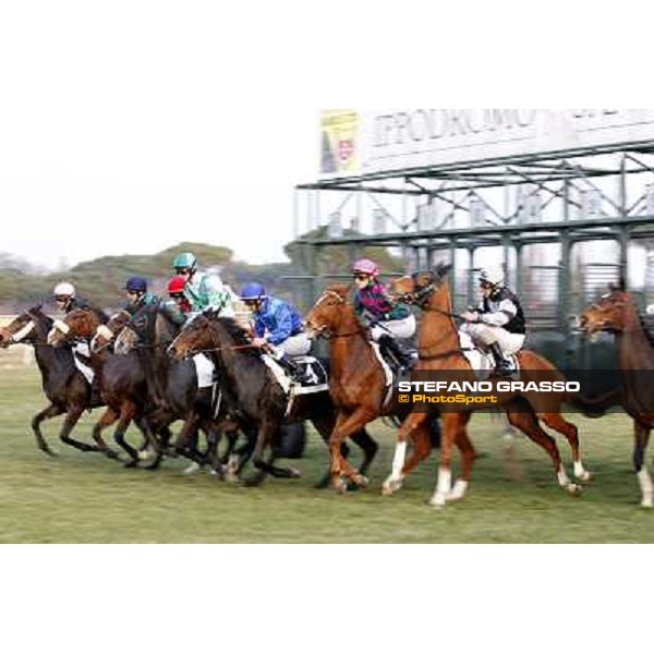 The start of Premio Panathlon Club Valdarno Pisa - San Rossore racecourse, 4th march 2012 ph.Stefano Grasso