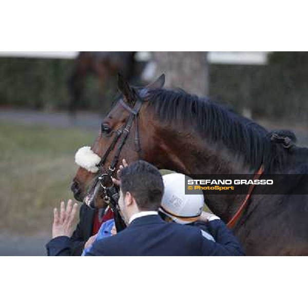 Marshade, Stefano Botti and Fabio Branca after winning the Premio Federico Regoli Pisa - San Rossore racecourse, 4th march 2012 ph.Stefano Grasso