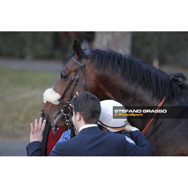 Marshade, Stefano Botti and Fabio Branca after winning the Premio Federico Regoli Pisa - San Rossore racecourse, 4th march 2012 ph.Stefano Grasso