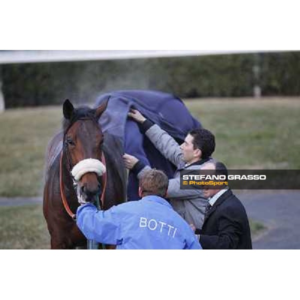 Marshade after winning the Premio Federico Regoli Pisa - San Rossore racecourse, 4th march 2012 ph.Stefano Grasso