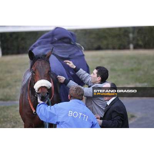 Marshade after winning the Premio Federico Regoli Pisa - San Rossore racecourse, 4th march 2012 ph.Stefano Grasso