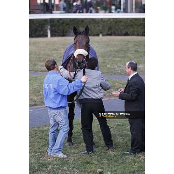 Marshade after winning the Premio Federico Regoli Pisa - San Rossore racecourse, 4th march 2012 ph.Stefano Grasso