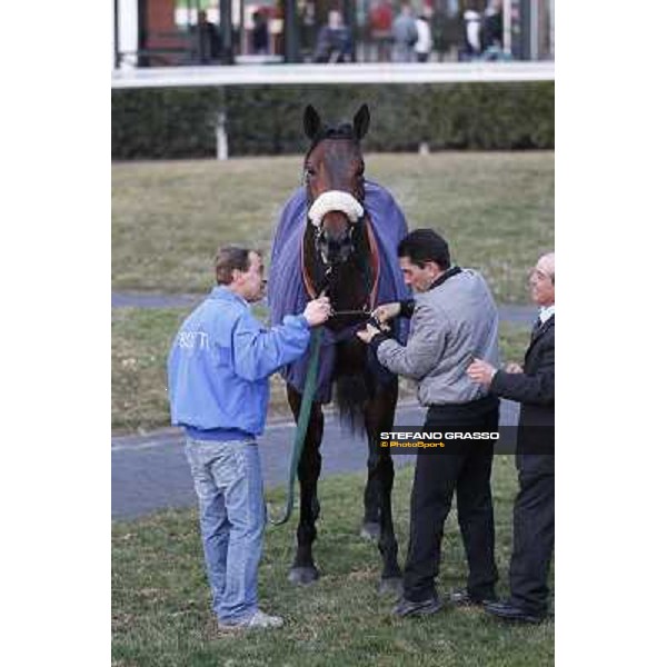 Marshade after winning the Premio Federico Regoli Pisa - San Rossore racecourse, 4th march 2012 ph.Stefano Grasso