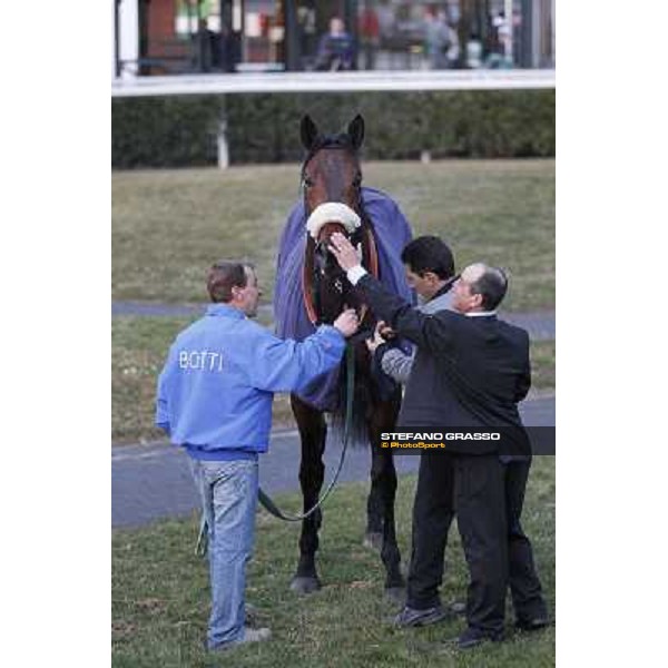Marshade after winning the Premio Federico Regoli Pisa - San Rossore racecourse, 4th march 2012 ph.Stefano Grasso