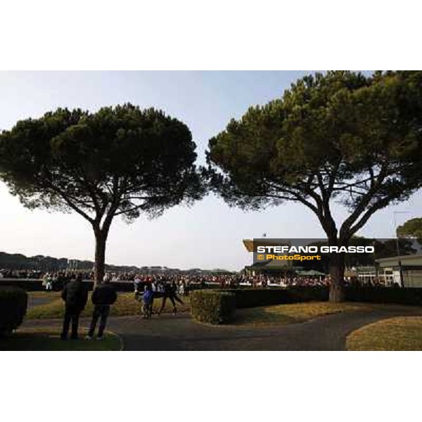 The Paddock Pisa - San Rossore racecourse, 4th march 2012 ph.Stefano Grasso