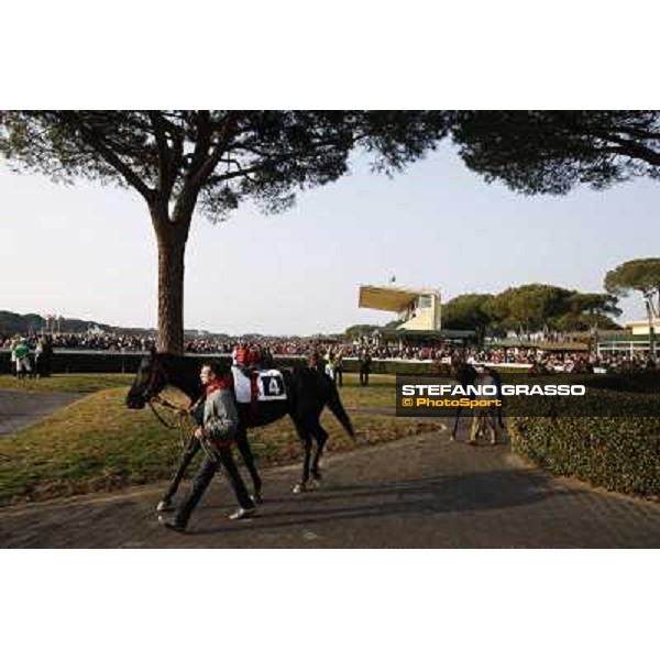 The Paddock Pisa - San Rossore racecourse, 4th march 2012 ph.Stefano Grasso