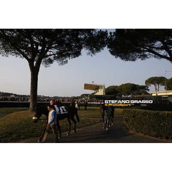 The Paddock Pisa - San Rossore racecourse, 4th march 2012 ph.Stefano Grasso