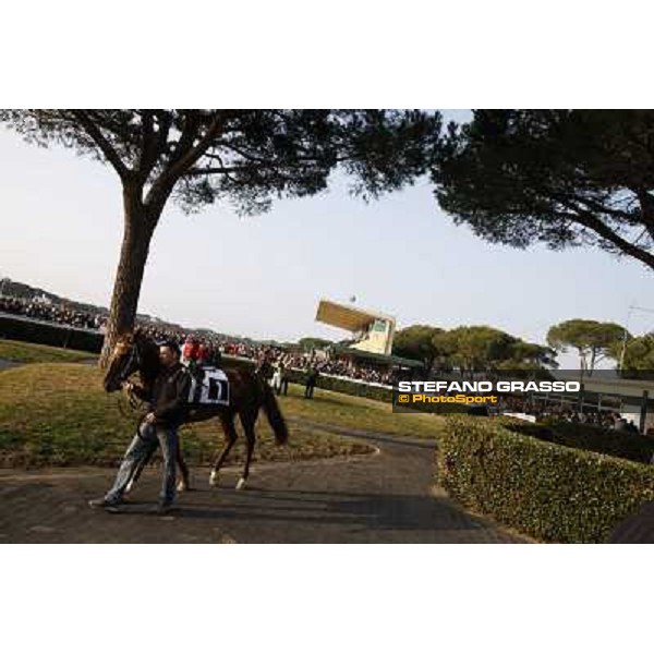 The Paddock Pisa - San Rossore racecourse, 4th march 2012 ph.Stefano Grasso