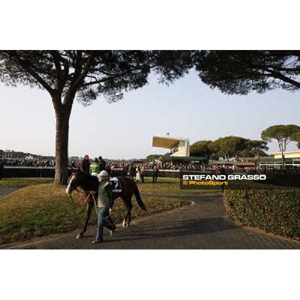 The Paddock Pisa - San Rossore racecourse, 4th march 2012 ph.Stefano Grasso