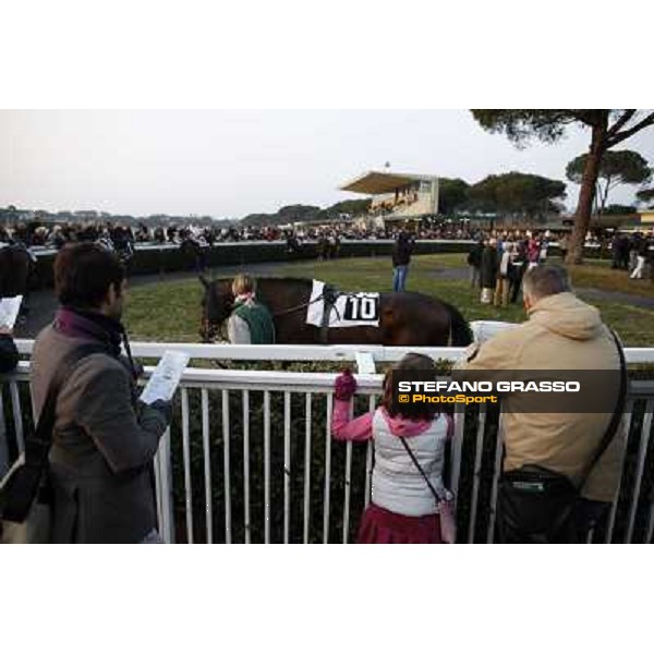 The Paddock Pisa - San Rossore racecourse, 4th march 2012 ph.Stefano Grasso