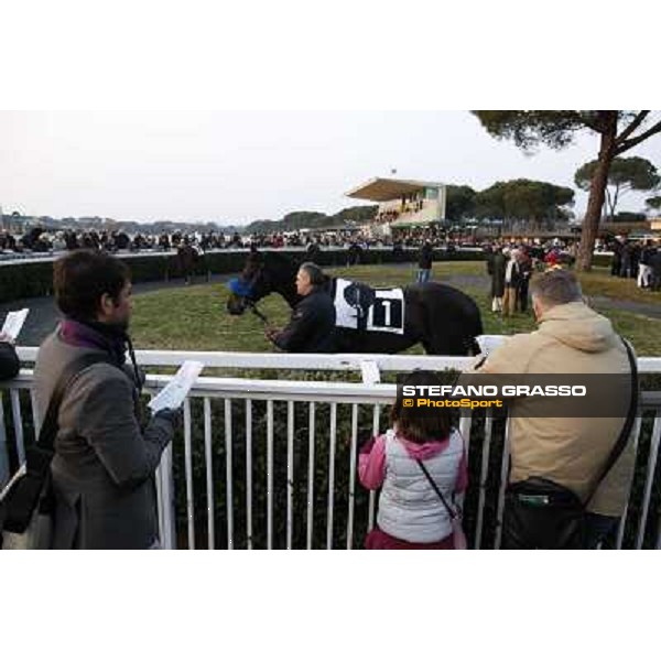 The Paddock Pisa - San Rossore racecourse, 4th march 2012 ph.Stefano Grasso