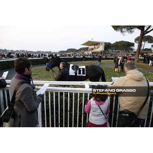 The Paddock Pisa - San Rossore racecourse, 4th march 2012 ph.Stefano Grasso