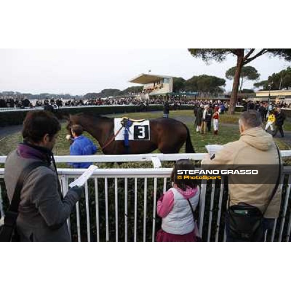 The Paddock Pisa - San Rossore racecourse, 4th march 2012 ph.Stefano Grasso