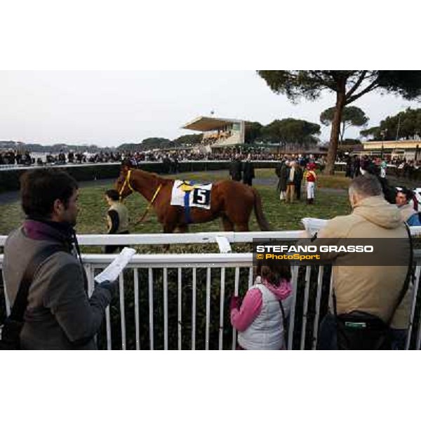 The Paddock Pisa - San Rossore racecourse, 4th march 2012 ph.Stefano Grasso